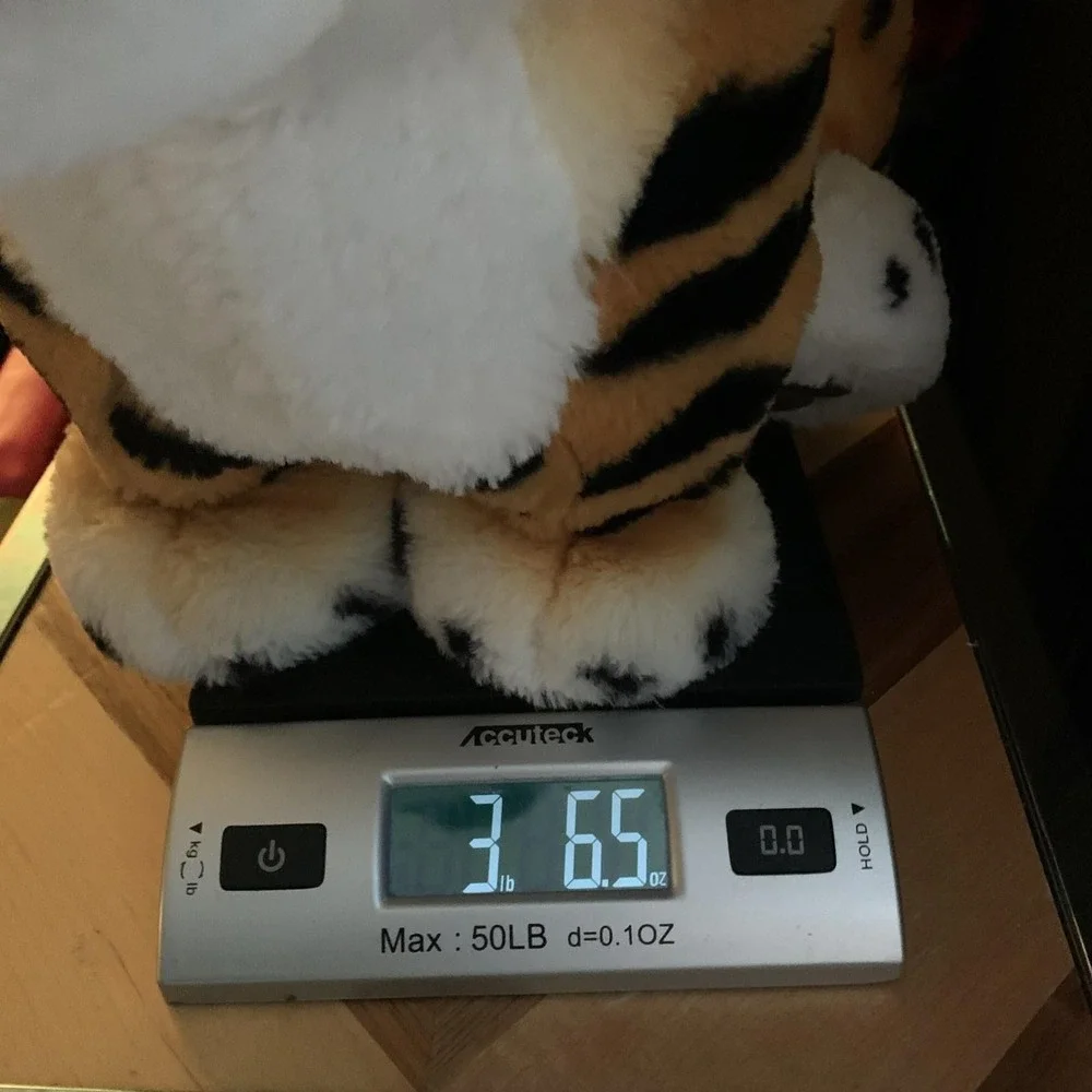 FurREAL Friends ROARING TYLER The Playful TIGER Interactive Plush WORKS GREAT